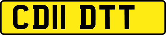 CD11DTT