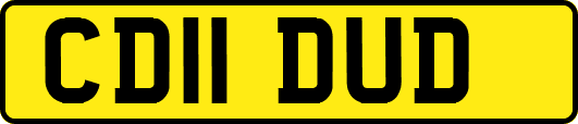 CD11DUD