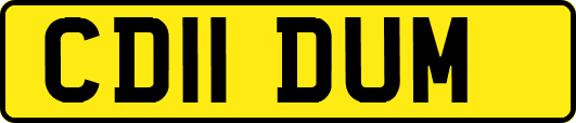 CD11DUM