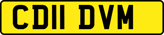 CD11DVM