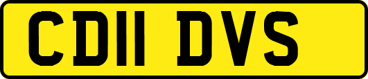CD11DVS