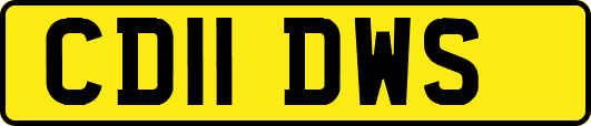 CD11DWS