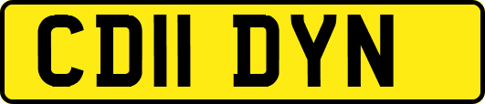 CD11DYN