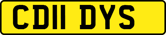 CD11DYS