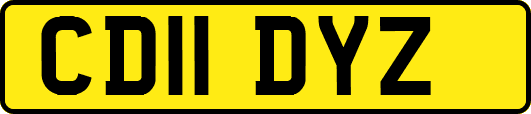 CD11DYZ