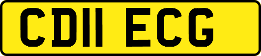 CD11ECG