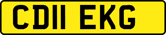 CD11EKG