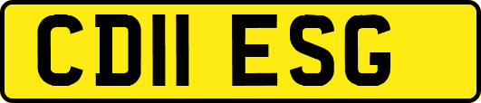 CD11ESG