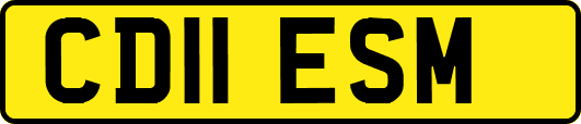 CD11ESM