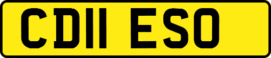 CD11ESO
