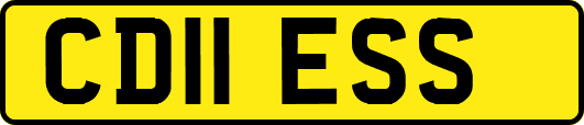 CD11ESS