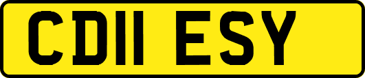 CD11ESY