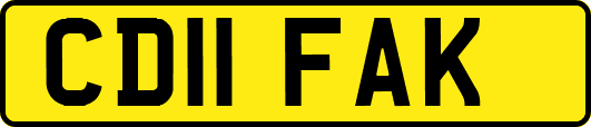 CD11FAK