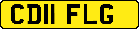 CD11FLG