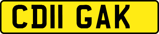 CD11GAK