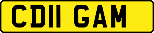 CD11GAM