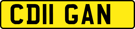 CD11GAN