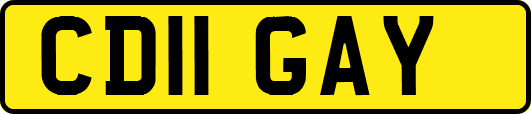 CD11GAY