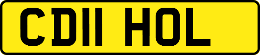 CD11HOL