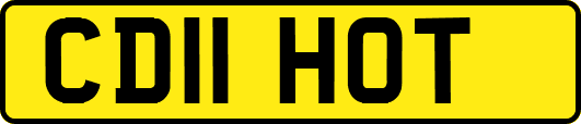 CD11HOT