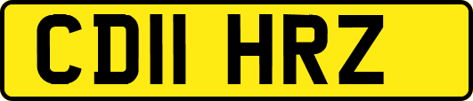 CD11HRZ
