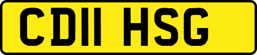 CD11HSG