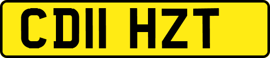 CD11HZT