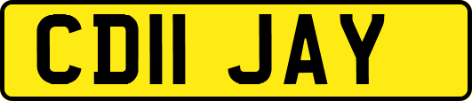 CD11JAY
