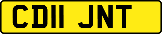 CD11JNT