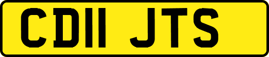 CD11JTS