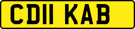 CD11KAB