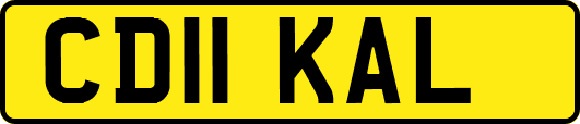 CD11KAL