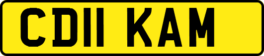 CD11KAM