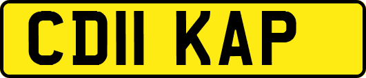 CD11KAP