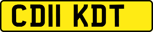CD11KDT