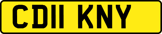 CD11KNY