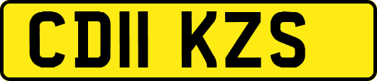 CD11KZS