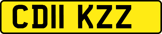 CD11KZZ