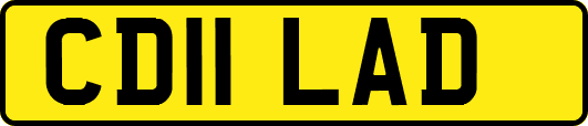 CD11LAD