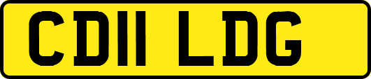 CD11LDG