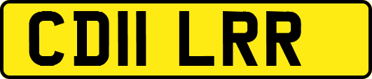 CD11LRR