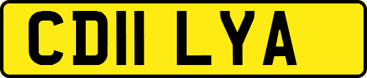 CD11LYA