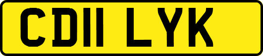 CD11LYK