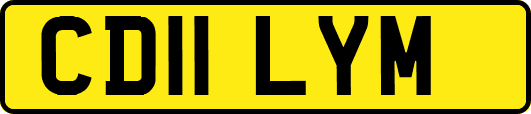 CD11LYM