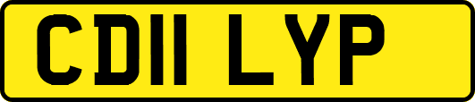 CD11LYP