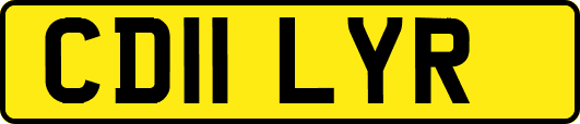 CD11LYR