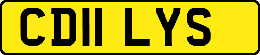 CD11LYS