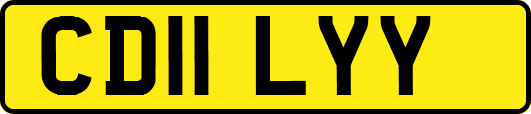 CD11LYY