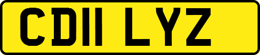 CD11LYZ