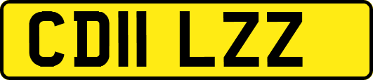 CD11LZZ